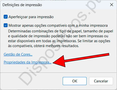 Propriedades da impressora do Windows