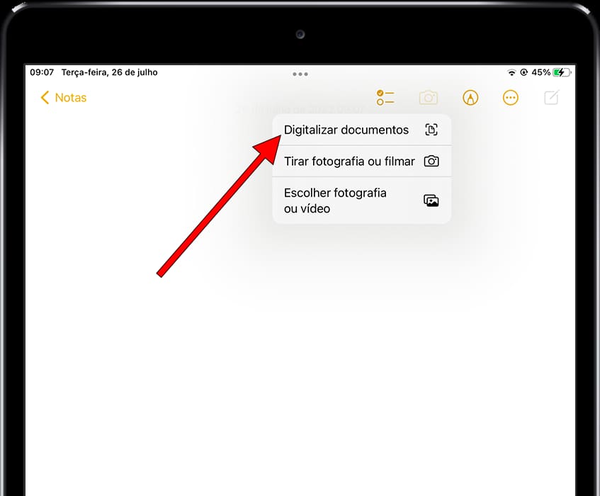 Digitalizar documentos iPad Air
