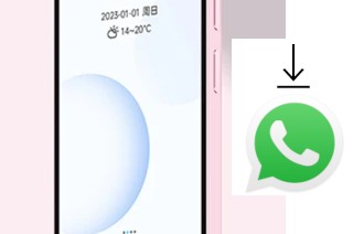 Como baixar e instalar o WhatsApp em Duoqin Qin3