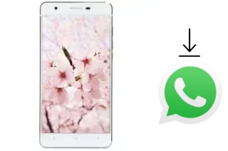 Como baixar e instalar o WhatsApp em VC Sakura